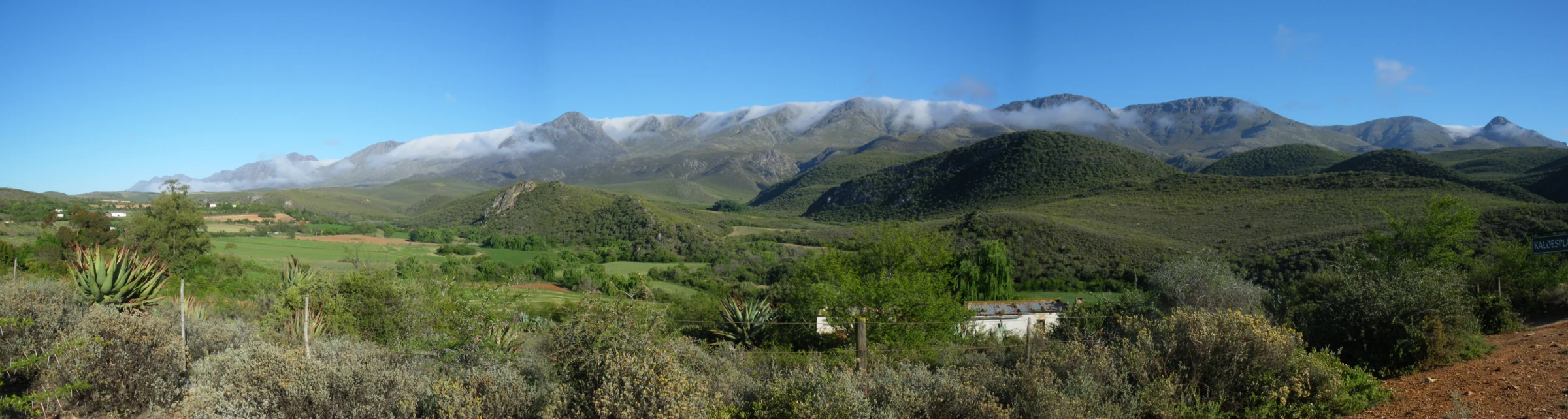 The Swartberg mountain range in the landscape surrounding Oudtshoorn